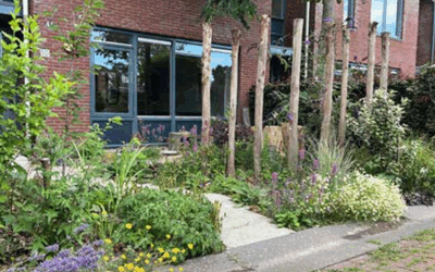 Vergroening is verkoeling